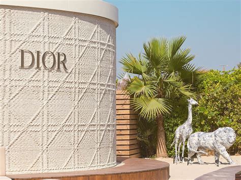 dior nammos dubai price|dior in dubai.